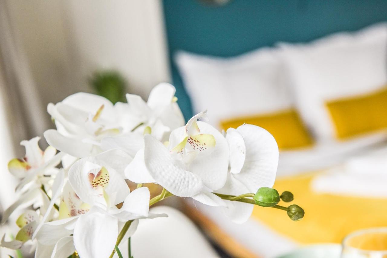 Apartament Le Petit Vauban Strasburg Zewnętrze zdjęcie